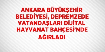 29859294002391230133tasarimli