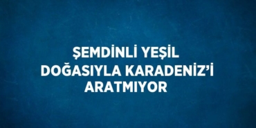 29861287432327928686tasarimli