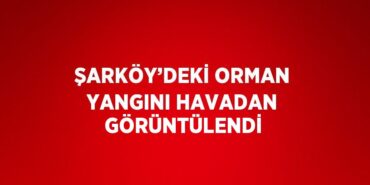 29867309823167825813tasarimli