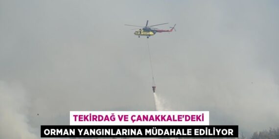 TEKİRDAĞ VE ÇANAKKALE’DEKİ ORMAN YANGINLARINA MÜDAHALE EDİLİYOR