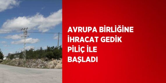 AVRUPA BİRLİĞİNE İHRACAT GEDİK PİLİÇ İLE BAŞLADI