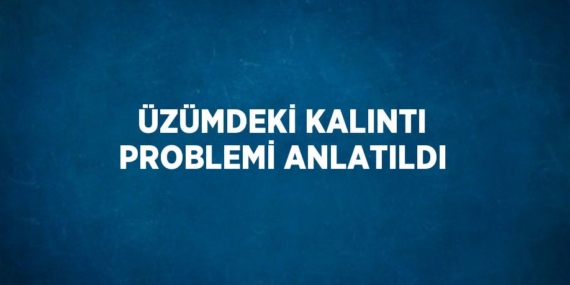 ÜZÜMDEKİ KALINTI PROBLEMİ ANLATILDI