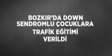 29888238012865325427tasarimli