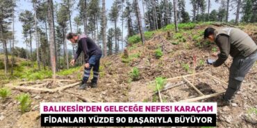 29888315172822822062tasarimli