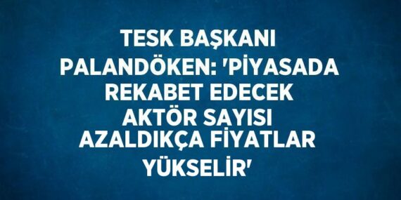 TESK BAŞKANI PALANDÖKEN: ‘PİYASADA REKABET EDECEK AKTÖR SAYISI AZALDIKÇA FİYATLAR YÜKSELİR’