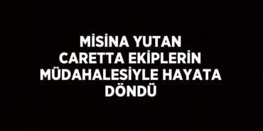 29900242722674721358tasarimli