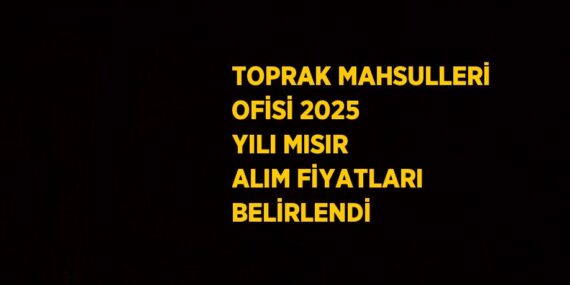 TOPRAK MAHSULLERİ OFİSİ 2025 YILI MISIR ALIM FİYATLARI BELİRLENDİ
