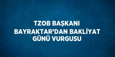 29905288623150421166tasarimli