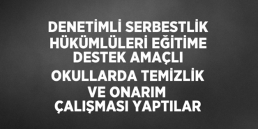 29906294383003128979tasarimli