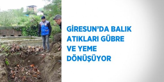 GİRESUN’DA BALIK ATIKLARI GÜBRE VE YEME DÖNÜŞÜYOR