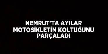 29909246902959629947tasarimli