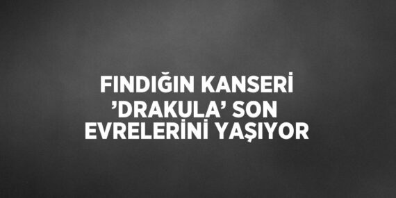 FINDIĞIN KANSERİ ’DRAKULA’ SON EVRELERİNİ YAŞIYOR