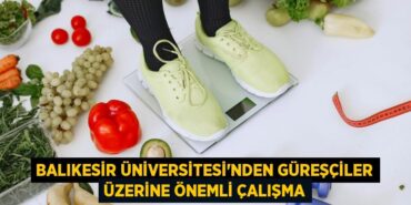 29917221783159422395tasarimli