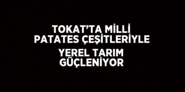 29917240393023421588tasarimli
