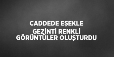 29926268582232924671tasarimli