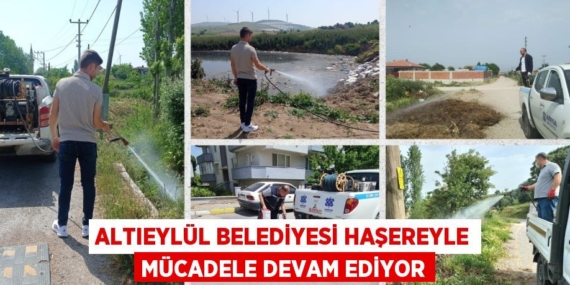 ALTIEYLÜL BELEDİYESİ HAŞEREYLE MÜCADELE DEVAM EDİYOR