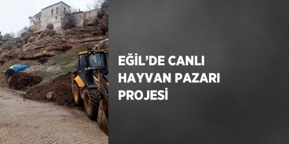 EĞİL’DE CANLI HAYVAN PAZARI PROJESİ
