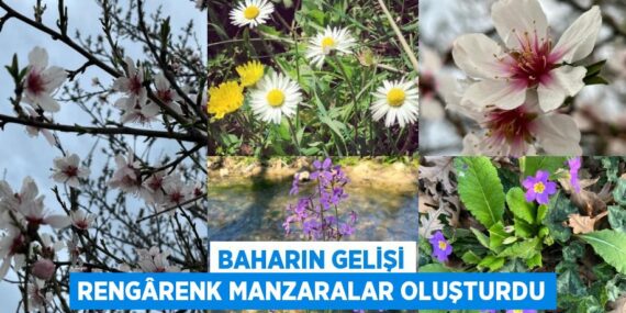 BAHARIN GELİŞİ RENGÂRENK MANZARALAR OLUŞTURDU