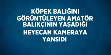 29935311752544031592tasarimli