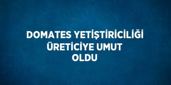 DOMATES YETİŞTİRİCİLİĞİ ÜRETİCİYE UMUT OLDU