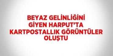 29943268262932828821tasarimli