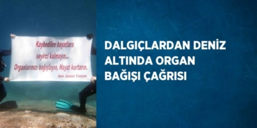 29946278112498124583