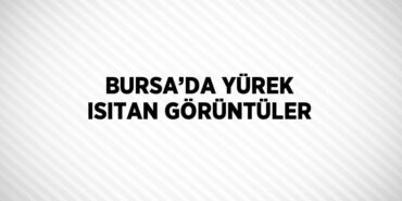 29947263612455726542tasarimli