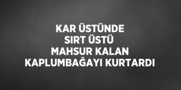 29947285592740528924tasarimli