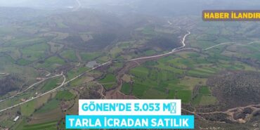29950290062569725495tasarimli