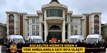 29952285673199521788tasarimli