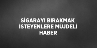 29953312252813031733tasarimli