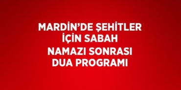 29954288232856822270tasarimli
