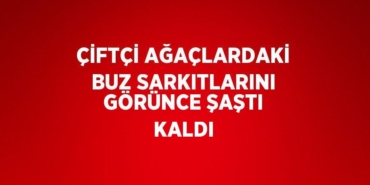 29965292942875225636tasarimli