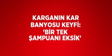 29979224102463922404tasarimli