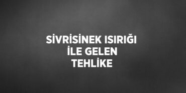 29980246742586322348tasarimli