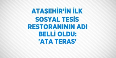 29985225572588424855tasarimli