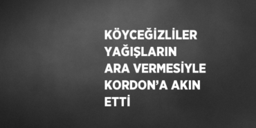 29990202612153423788