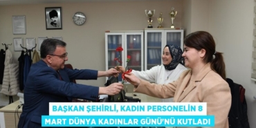 29991289873047425509tasarimli