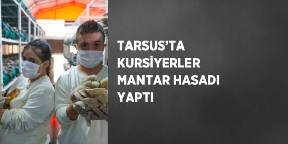 TARSUS’TA KURSİYERLER MANTAR HASADI YAPTI