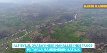 29995248412579726017tasarimli