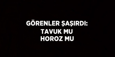 30007269852355421021tasarimli