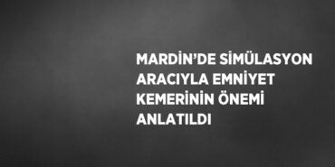 30008290142392628673