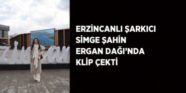 30009206142639826948