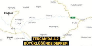 30013204712833729242tasarimli