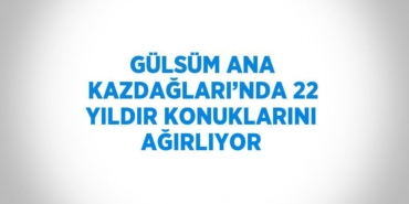 30013318942933330002tasarimli