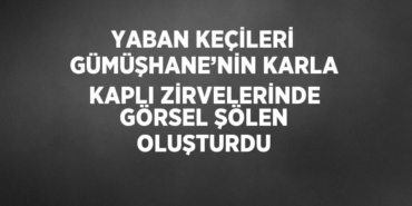 30034298322978123344tasarimli