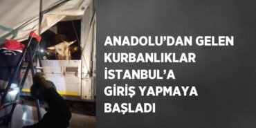 30042274172013523082