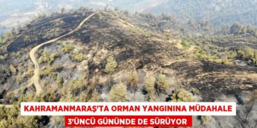 30042304712572927257tasarimli