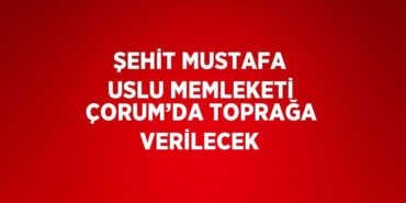 30044301482267323686tasarimli