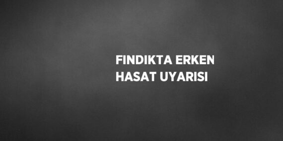 FINDIKTA ERKEN HASAT UYARISI